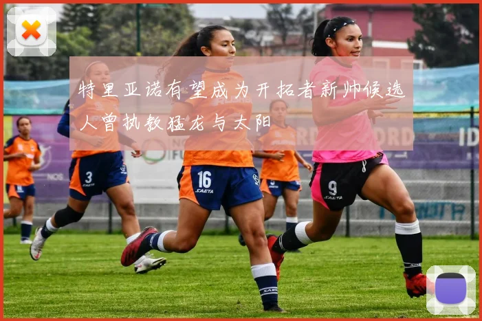 特里亚诺有望成为开拓者新帅候选人曾执教猛龙与太阳