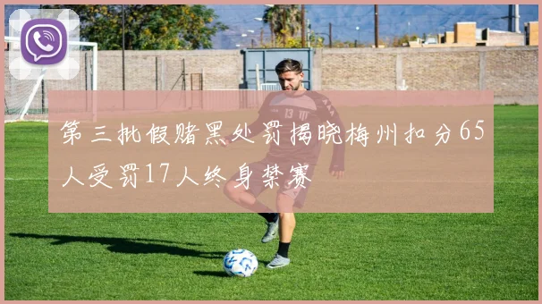 第三批假赌黑处罚揭晓梅州扣分65人受罚17人终身禁赛